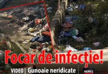 video-|-gunoaie-neridicate-de-luni-de-zile-in-valea-rece:-locatarii-acuza-primaria-targu-mures-de-pasivitate!