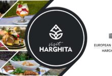 platforma-visit-harghita-creste,-dar-numarul-turistilor-din-judet,-in-scadere
