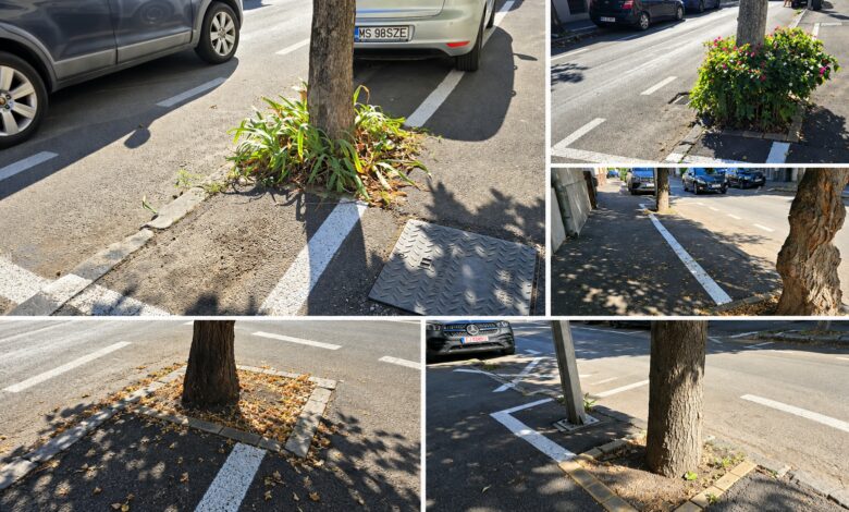 parcari-pentru-copaci?-marcaje-rutiere-„creative”-pe-strada-rodnei-din-targu-mures-(foto)