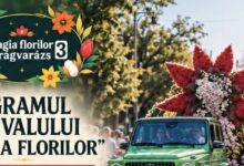 programul-festivalului-„magia-florilor”