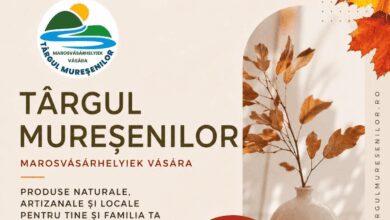 luni-incepe-targul-muresenilor.-caritate-si-comunitate-in-inima-orasului-de-5-ani