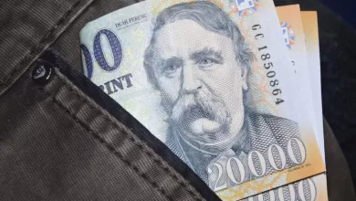 ungaria-pregateste-terenul-pentru-adoptarea-euro.-forintul-ar-putea-fi-inlocuit-dupa-2030