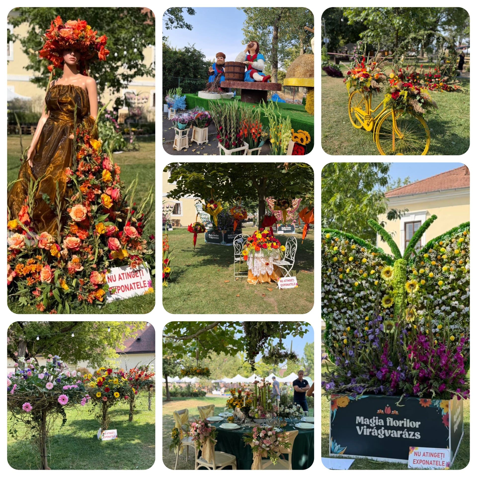 pregatirile-pentru-carele-florale-sunt-in-toi-la-festivalul-magia-florilor-din-targu-mures-(foto)