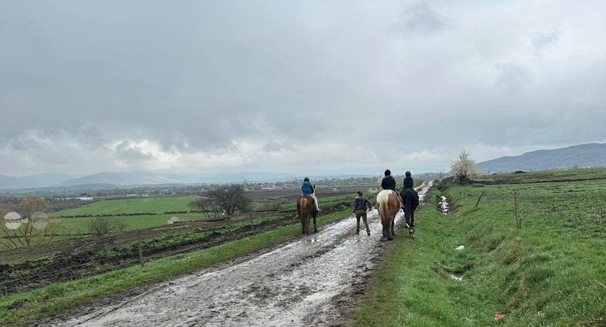 iesire-calare-in-muntii-gurghiului:-traseu-de-weekend-din-dulcea-pana-la-stana-lui-vancu