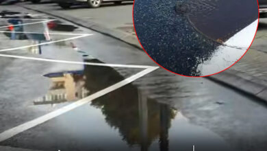 video-|-racoare-pe-asfalt-sau-avanpremiera-la-irigatii-in-targu-mures!?