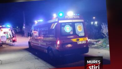 accident-tragic-in-ibanesti-padure:-o-femeie-de-82-de-ani-a-decedat-dupa-ce-a-fost-lovita-de-o-masina!