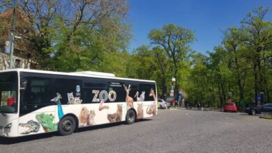 spre-platoul-cornesti-si-zoo-targu-mures,-cu-autobuzul,-in-fiecare-weekend-din-septembrie!