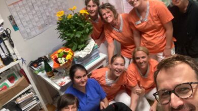 ”mii-de-operatii-chirurgicale-pe-animale-de-companie”-este-bagajul-profesional-al-unui-medic-veterinar-reintors-la-targu-mures-din-germania-si-budapesta