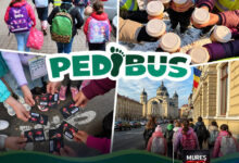 pedibus-revine-pe-traseu:-drumul-spre-scoala-devine-o-aventura-plina-de-energie!