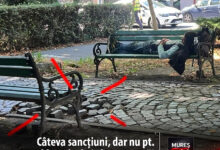 cateva-sanctiuni-pentru-consumul-de-alcool,-fumat-in-zone-interzise-si-tulburarea-linistii-publice!