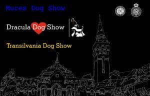 sute-de-caini-de-rasa-vor-fi-prezenti-la-festivalul-international-dracula-dog-show-de-la-targu-mures