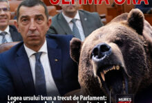 viata-omului-are-prioritate:-legea-privind-gestionarea-ursului-brun-a-fost-adoptata-de-camera-deputatilor!