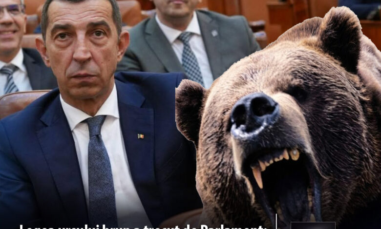 viata-omului-are-prioritate:-legea-privind-gestionarea-ursului-brun-a-fost-adoptata-de-camera-deputatilor!
