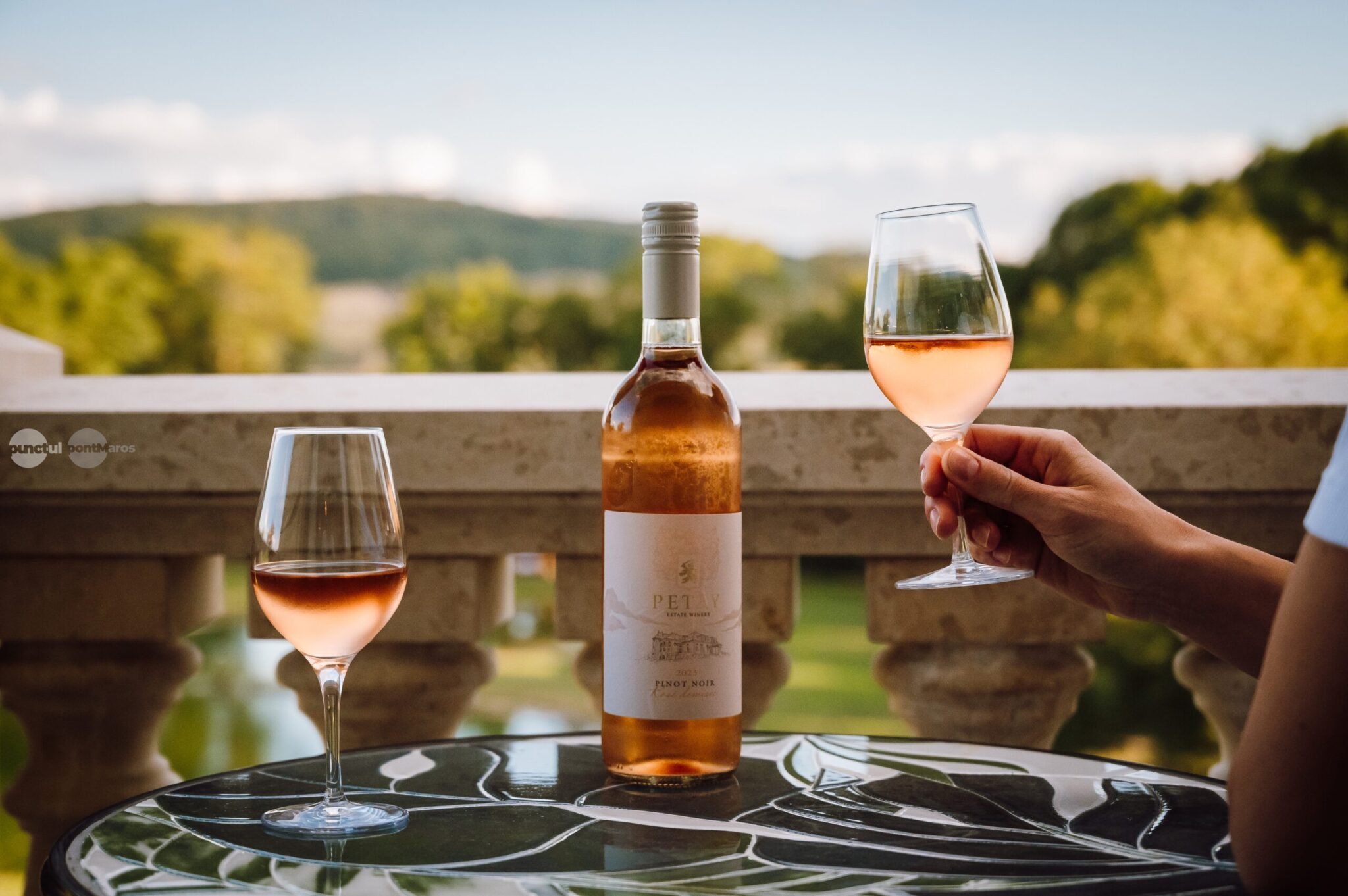 degustare-de-vinuri-intr-un-conac-din-secolul-al-xviii-lea,-in-calimanesti