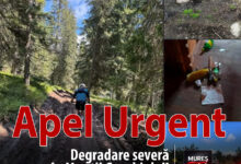foto-|-apel-urgent-lansat-de-salvamont-salvaspeo-mures:-degradare-severa-in-muntii-gurghiului-(zona-varful-saca-mare)!