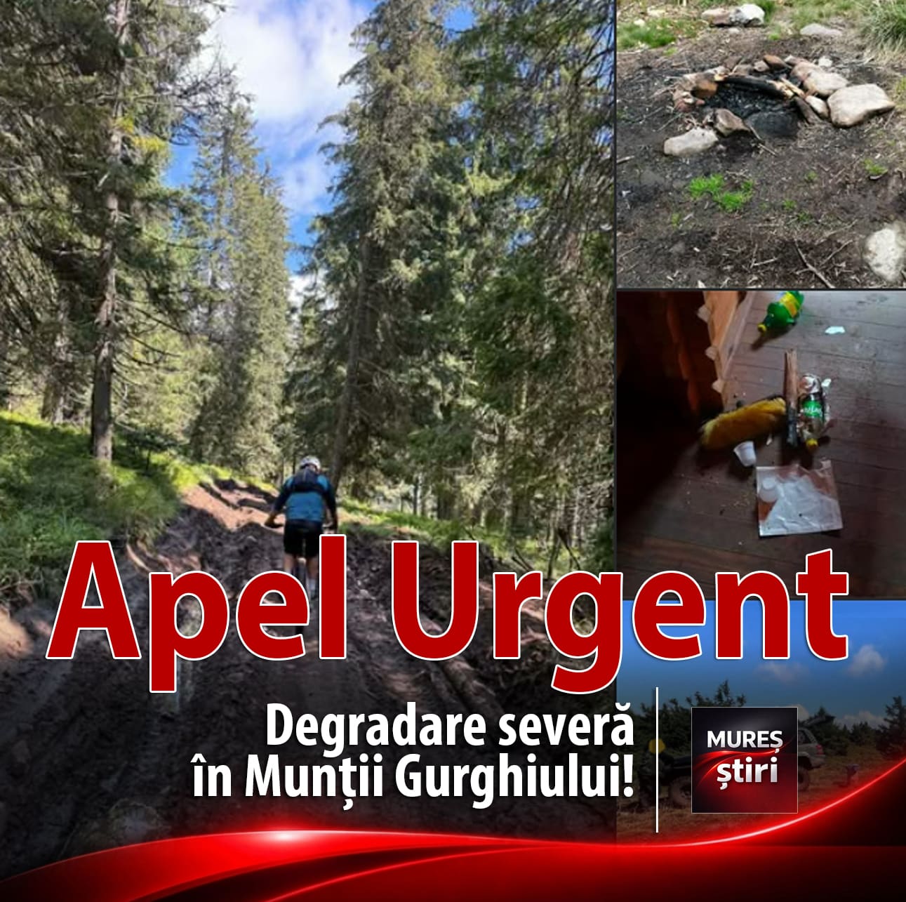 foto-|-apel-urgent-lansat-de-salvamont-salvaspeo-mures:-degradare-severa-in-muntii-gurghiului-(zona-varful-saca-mare)!