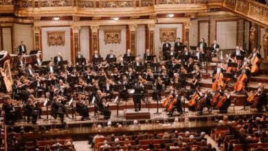 turneul-„spiritul-romaniei”-continua-cu-un-nou-concert,-la-budapesta