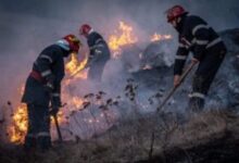 incendiile-de-vegetatie-sunt-in-scadere,-dar-numarul-interventiilor-ramane-ridicat