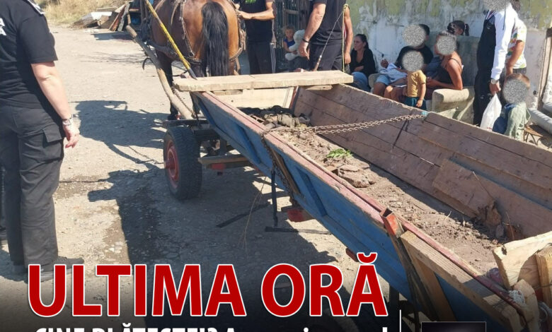 cine-plateste!?-amenzi-record-date-de-politistii-locali-targu-mures-pentru-deseuri-aruncate-in-albia-unui-parau!