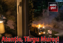atentie,-targu-mures!-dezinsectie-pe-timp-de-noapte:-ce-zone-sunt-vizate-si-ce-trebuie-sa-faci!