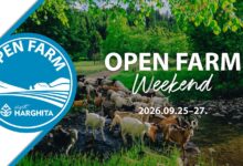 harghita:-ferme,-gospodarii-si-producatori-locali-isi-deschid-portile-la-o-noua-editie-open-farm-weekend