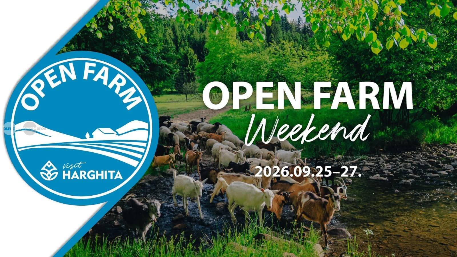 harghita:-ferme,-gospodarii-si-producatori-locali-isi-deschid-portile-la-o-noua-editie-open-farm-weekend