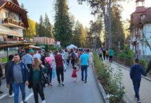 festivalul-dovleacului-revine-la-sovata.-trei-zile-de-evenimente-la-editia-aniversara-de-11-ani