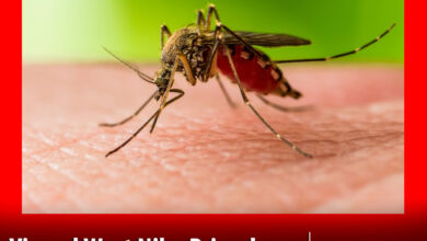 trei-decese-si-58-de-cazuri-de-infectie-cu-virusul-west-nile-in-romania!-primul-caz,-confirmat-si-in-judetul-mures