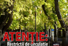 atentie:-restrictii-de-circulatie-pe-bulevardul-cetatii-pentru-expozitia-canina-dracula-dog-show!