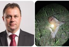 in-urma-acuzatiilor-de-braconaj,-csiki-zsolt-(udmr)-demisioneaza-din-consiliul-local