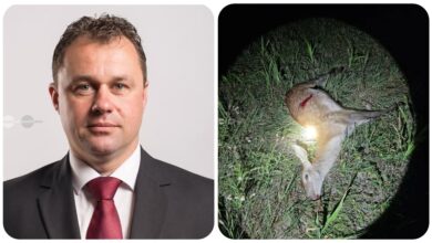 in-urma-acuzatiilor-de-braconaj,-csiki-zsolt-(udmr)-demisioneaza-din-consiliul-local
