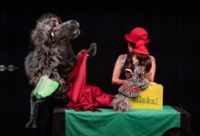 spectacolul-zoo-revine-la-teatrul-ariel!