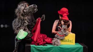 spectacolul-zoo-revine-la-teatrul-ariel!