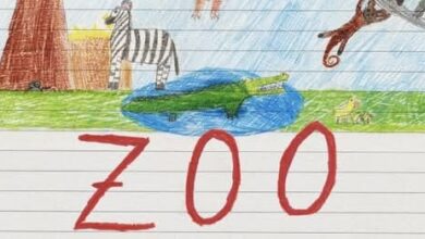 spectacolul-”zoo”-revine-la-teatrul-ariel!