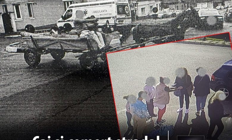 politia-locala:-sanctiuni-pentru-comert-ambulant-ilegal-si-animale-lasate-nesupravegheate!