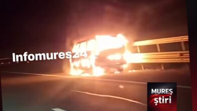 incendiu-pe-autostrada-a3:-autoutilitara-cuprinsa-de-flacari-in-zona-localitatii-vidrasau!