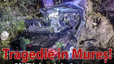 tragedie-rutiera-pe-dj153b:-un-tanar-de-19-ani-a-murit-dupa-ce-masina-pe-care-o-conducea-s-a-izbit-de-un-copac!