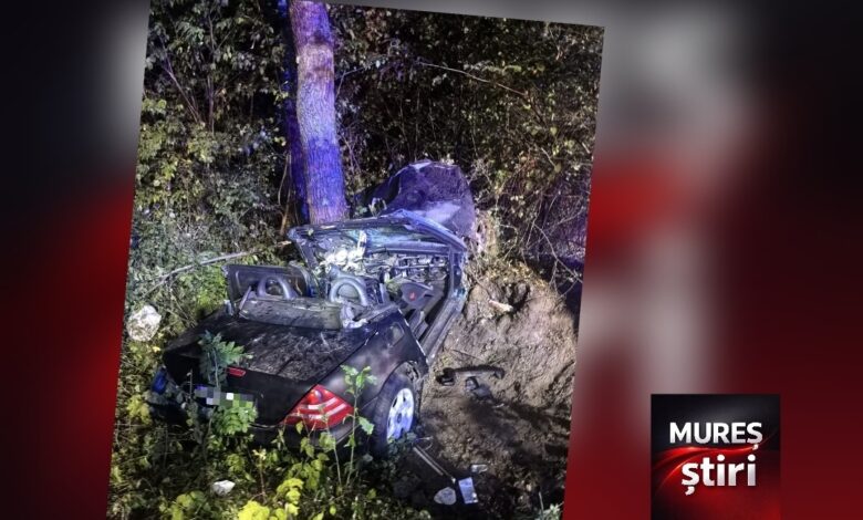 accident-rutier-tragic-in-localitatea-glodeni:-un-tanar-de-19-ani-si-a-pierdut-viata-dupa-ce-a-intrat-cu-masina-in-afara-carosabilului!