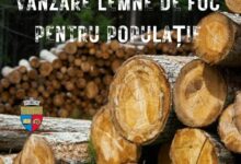 vanzare-de-lemne-de-foc-pentru-locuitorii- comunei-deda