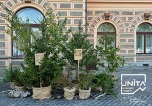 brasov:-campanie-a-unitbv-de-prezentare-a-proiectelor-seed-grants-dezvoltate-pentru-comunitate-in-ultimii-doi-ani