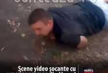 noi-imagini-video-cu-viceprimarul-din-pogaceaua:-taras-prin-santuri-si-in-fata-masinilor,-dupa-episodul-cu-urmarirea-politiei!