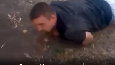 noi-imagini-video-cu-viceprimarul-din-pogaceaua:-taras-prin-santuri-si-in-fata-masinilor,-dupa-episodul-cu-urmarirea-politiei!