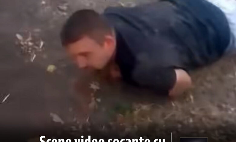noi-imagini-video-cu-viceprimarul-din-pogaceaua:-taras-prin-santuri-si-in-fata-masinilor,-dupa-episodul-cu-urmarirea-politiei!
