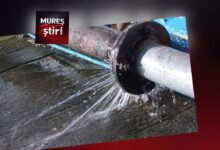 azi:-sistari-de-apa-in-targu-mures!