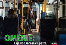 un-gest-de-onestitate-rara-la-cluj-napoca:-o-pasagera-a-gasit-o-sacosa-cu-peste-11.500-de-euro-in-troleibuz-si-a-inapoiat-o!