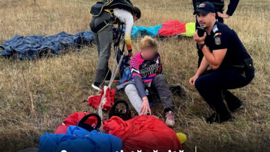 interventie-rapida-a-jandarmilor-mureseni:-o-parasutista-ranita,-salvata-in-cartierul-belvedere-din-targu-mures!