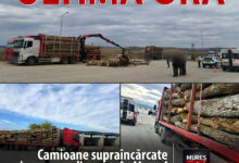 camioane-supraincarcate-si-cu-nereguli-grave,-depistate-de-politistii-rutieri-pe-dn13-/-e60-in-judetul-mures!
