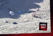 un-atelaj-hipo-s-a-rasturnat.-victima,-in-stare-critica-–-manevre-de-resuscitare-in-desfasurare-|-update:-victima-a-decedat!