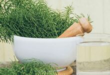 coada-calului,-o-planta-remineralizanta!-cum-se-prepara-si-ce-precautii-trebuie-respectate