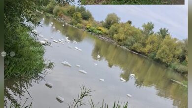 amenzi-de-23.500-de-lei-pentru-incalcarea-regulilor-de-pescuit,-in-urma-controalelor-din-mures